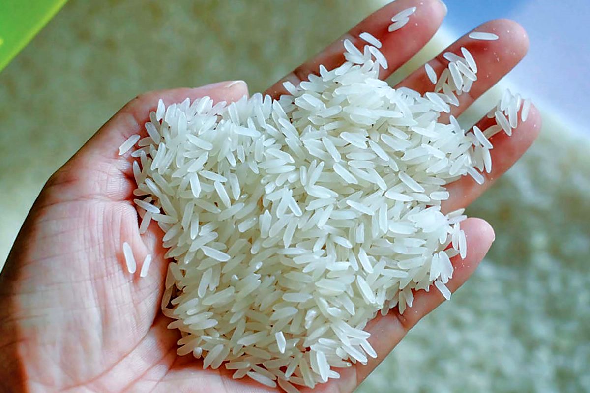 خواص و فواید برنج از برنج فروشی ترکمن صحرا در گنبدکاووس