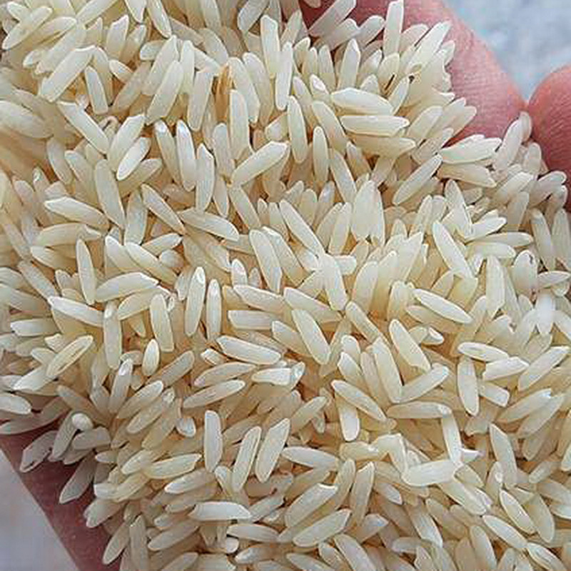 آشنایی با انواع برنجهای رایج در برنج فروشی ترکمن صحرا در گنبدکاووس